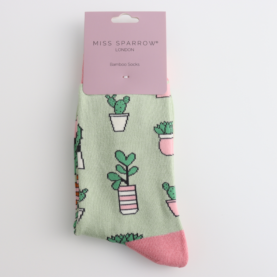 Small Succulents Socks Mint Eco Gift for Gardeners | SHB Studio