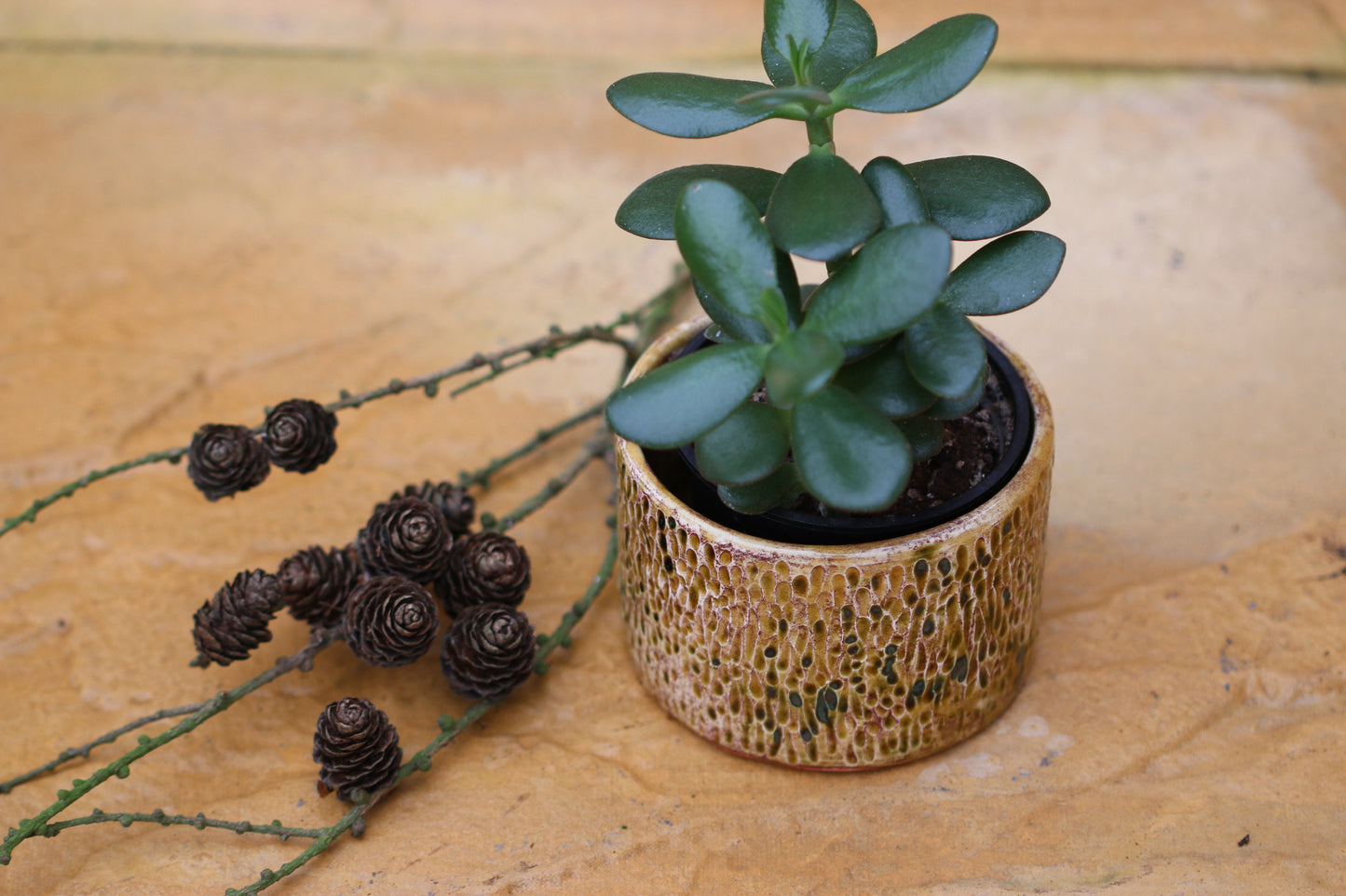 ceramic plant pot,Textured Glazed