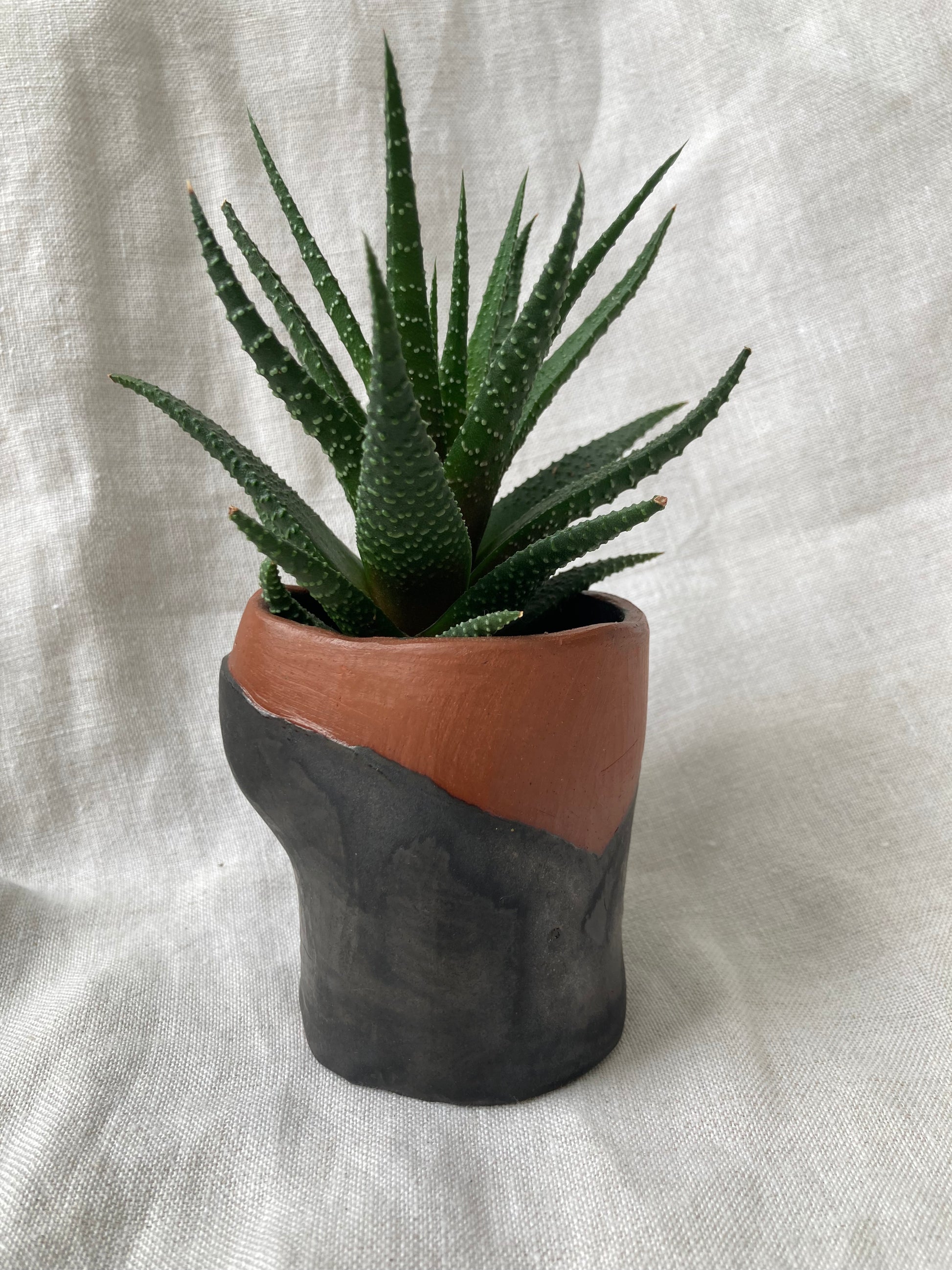 Rustic handmade plant pot
