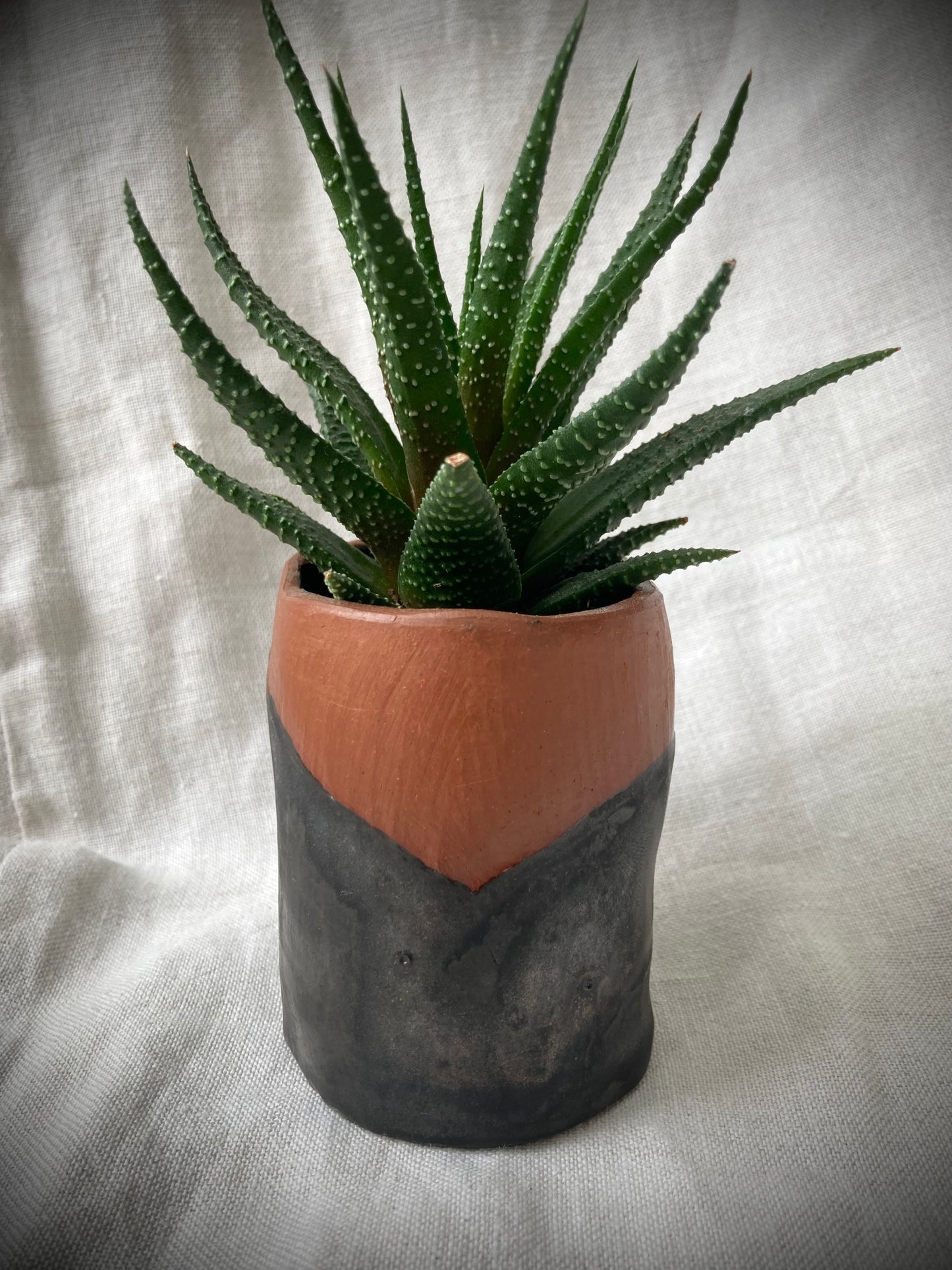 Terracotta Rustic pot, Body Pot, Pot