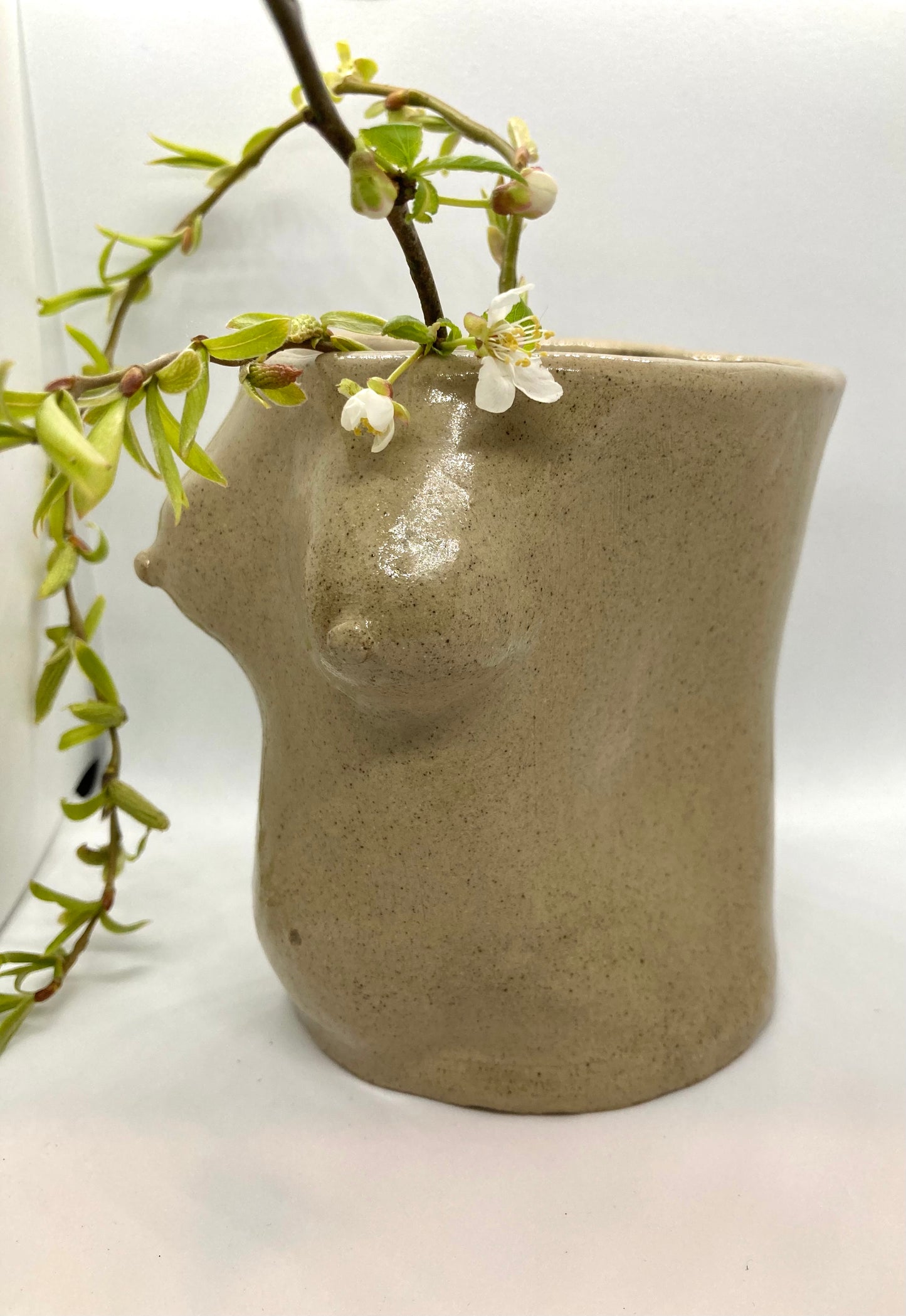 Body Pot