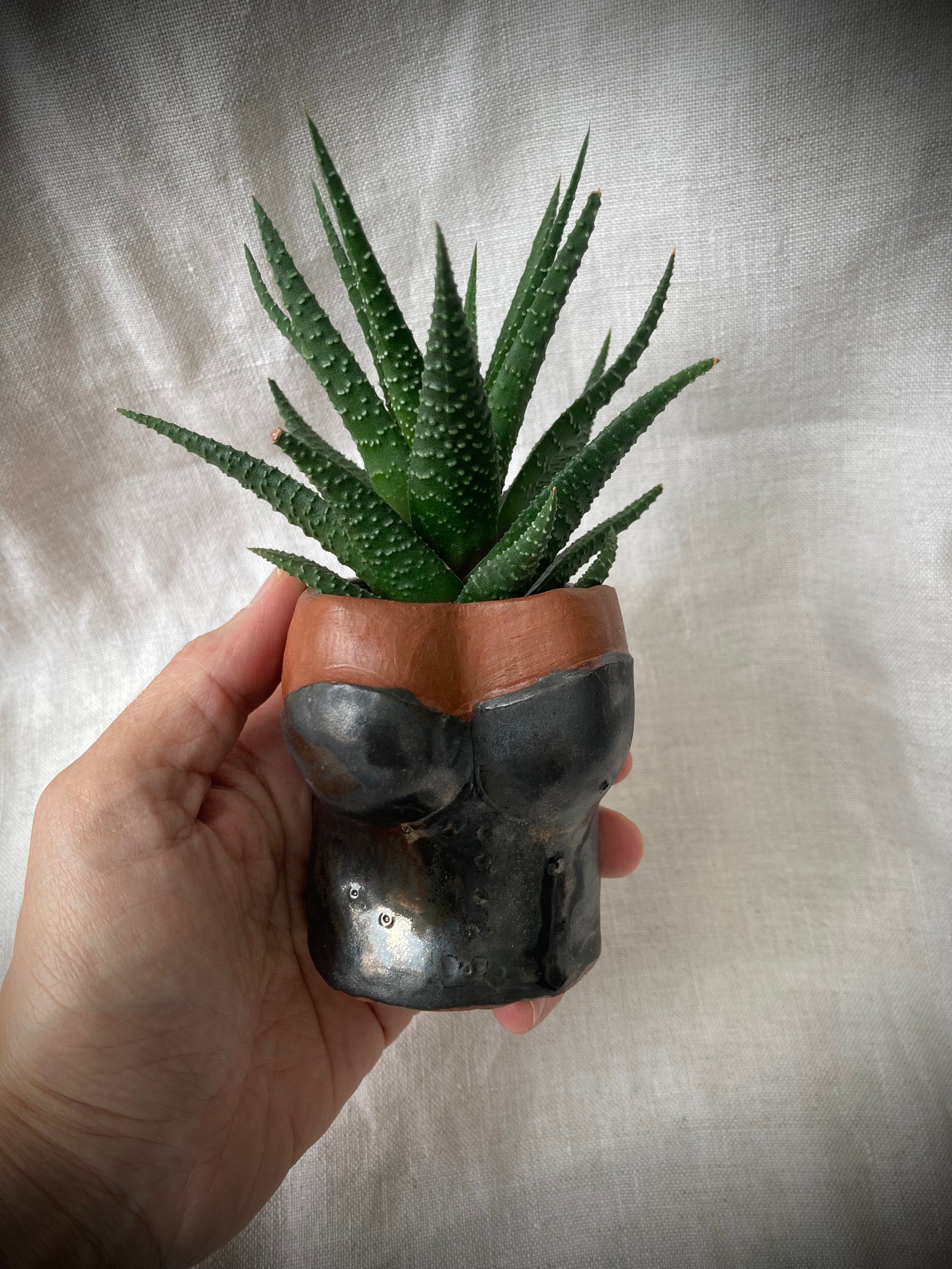 Minimalist black ceramic planter