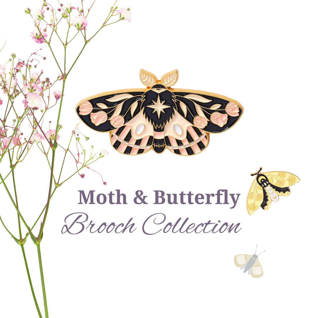 Butterfly and Moth Collection