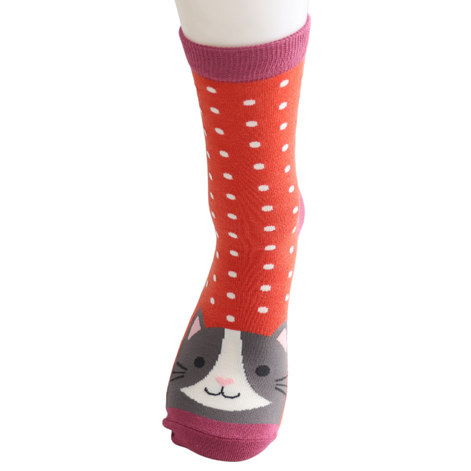 Miss Sparrow Bamboo Socks grey cat face white dots and background burnt orange.
