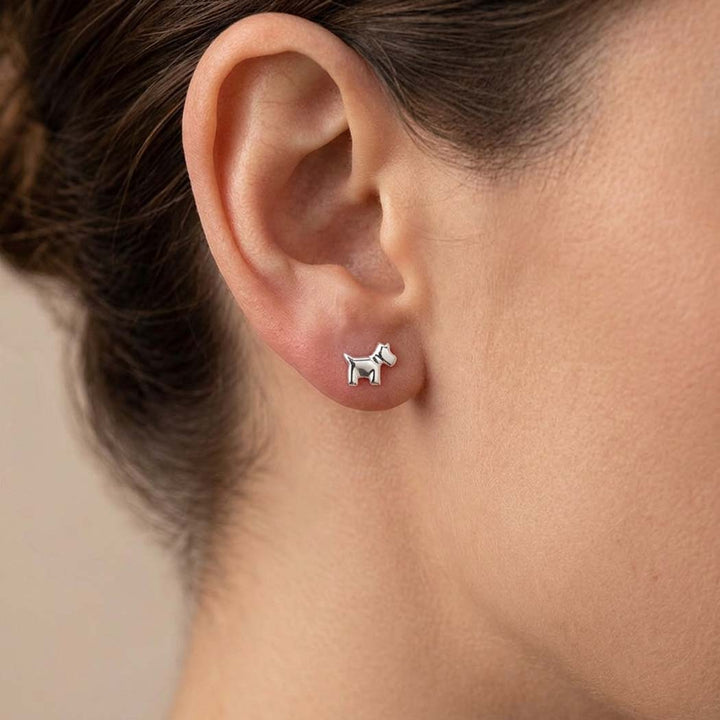 close up ear shows dog silver stud
