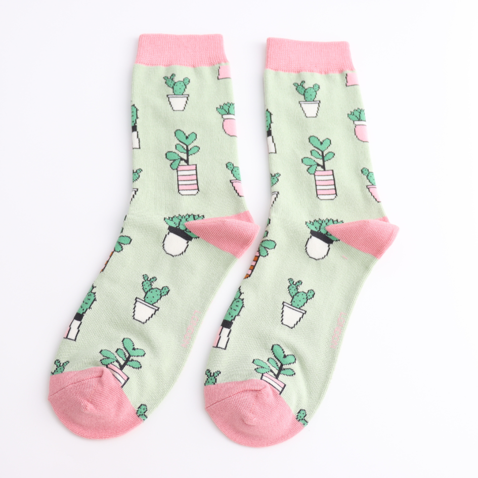 Light green mint back ground with succulent pattern pot and light green on toe section and narrow pink on top line.