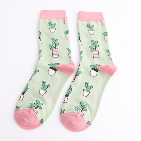 Small Succulents Socks Mint Eco Gift for Gardeners | SHB Studio
