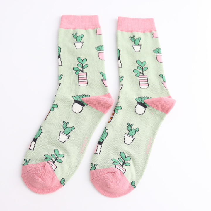 Light green mint back ground with succulent pattern pot and light green on toe section and narrow pink on top line.