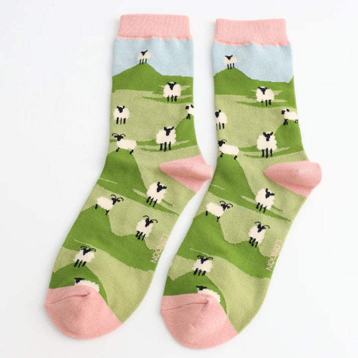 Pair of socks with sheep pattern on a white background