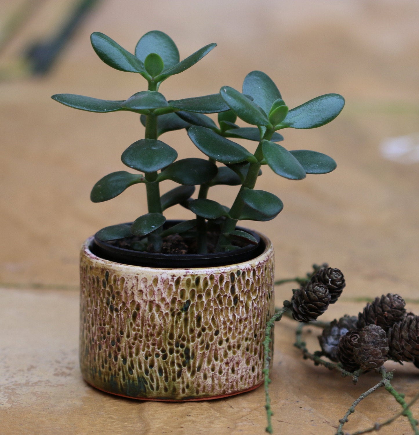 ceramic plant pot,Textured Glazed