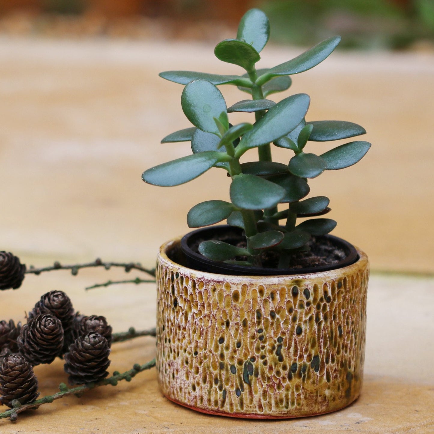 ceramic plant pot,Textured Glazed