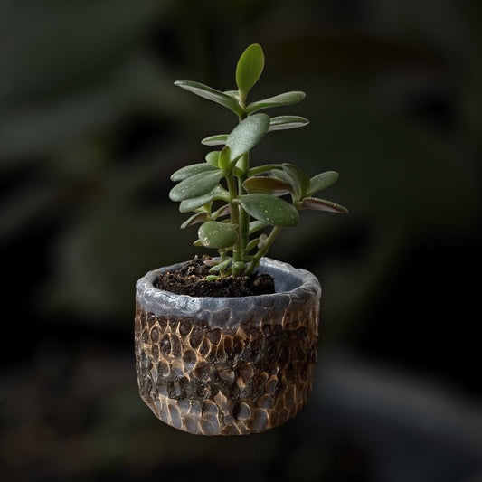 Rustic Volcano Pot