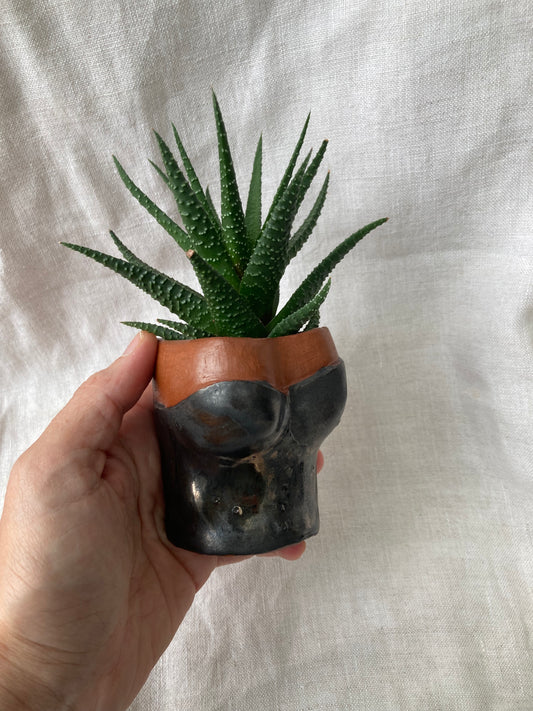 Handmade pottery succulent pot