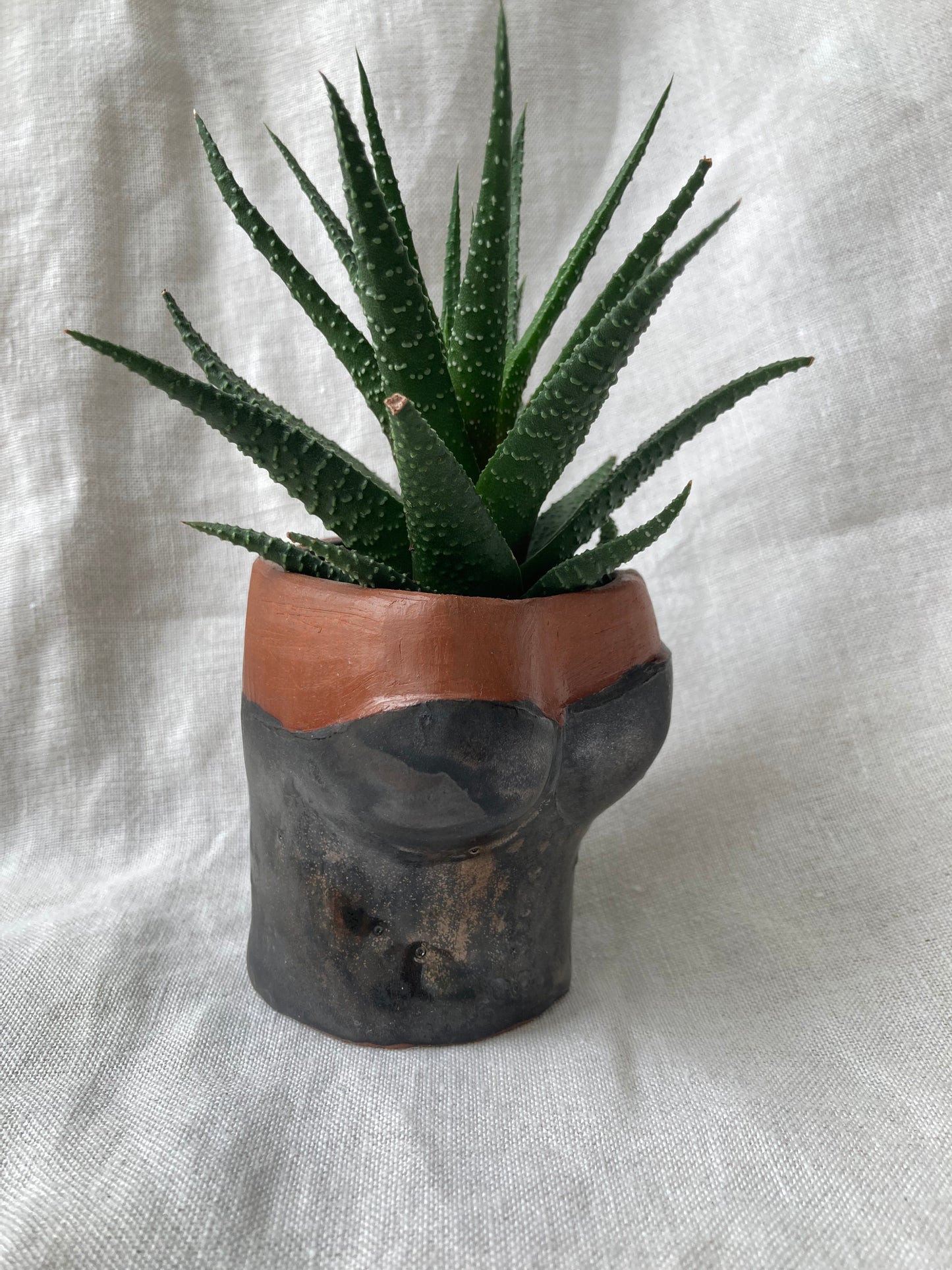 Terracotta Rustic pot, Body Pot, Pot